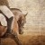 Dance Partner | DressageMEL_9327websize.jpg