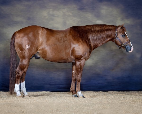 Smooth Talkin Style sale photo